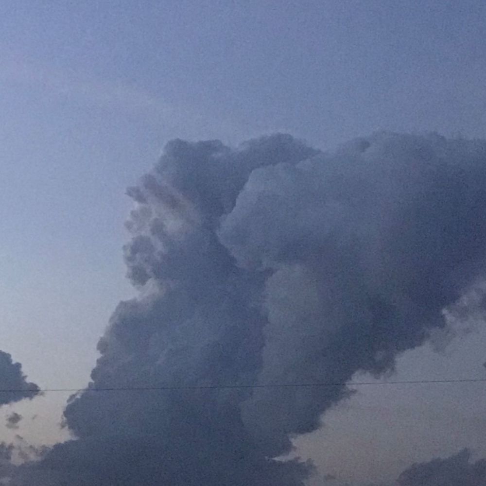 Meet your Posher, Cheryl